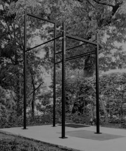 PTessentials Crossfit Outdoor RIG V8