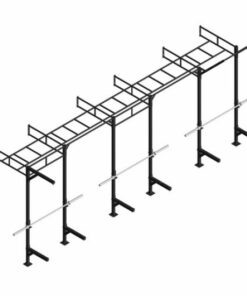 PTessentials Wall Mount Crossfit Rig V16