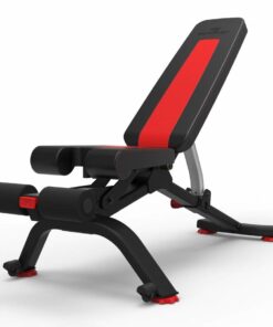 BowFlex 5.1S SelectTech verstelbare fitnessbank