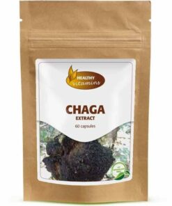 Chaga-extract | 300 mg | Vitaminesperpost.nl