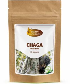 Chaga Premium | 60 capsules | Vitaminesperpost.nl