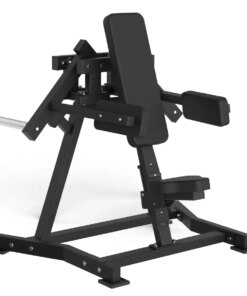 Toorx Professional AVANT - Lateral Raise FWX-6500