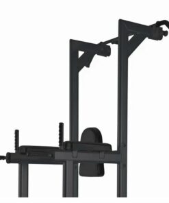 Toorx Professional WBX-B2800 Chin/Dip/Leg Raise