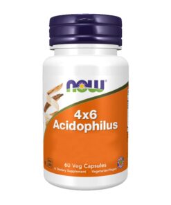 4X6 Acidophilus 60v-caps