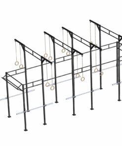 PTessentials Heavy Duty Crossfit Rig V19