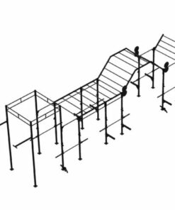 PTessentials Heavy Duty Crossfit Rig V12