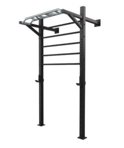 Toorx Professional LDX-5000 Wallbar Staal