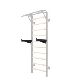 Toorx Professional Safety Spotter Arms voor LDX-3000 Wallbar