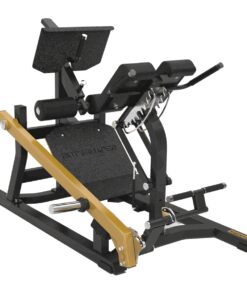 Toorx Professional Dual Hyper Extension FWX 10500