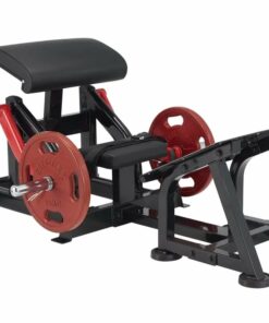 Steelflex Plate Loaded Hip Thruster Machine
