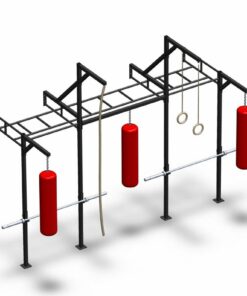 PTessentials Wall Mount Crossfit Rig V18