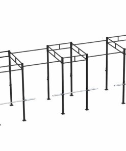 PTessentials Heavy Duty Crossfit Rig V21
